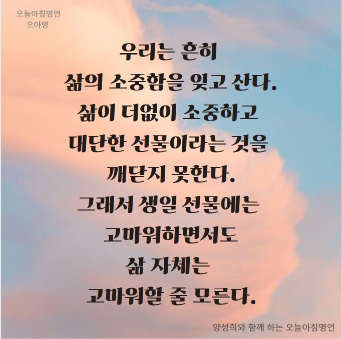 화면 캡처 2025-05-21 052836.jpg