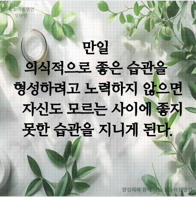 화면 캡처 2025-06-07 063118.jpg