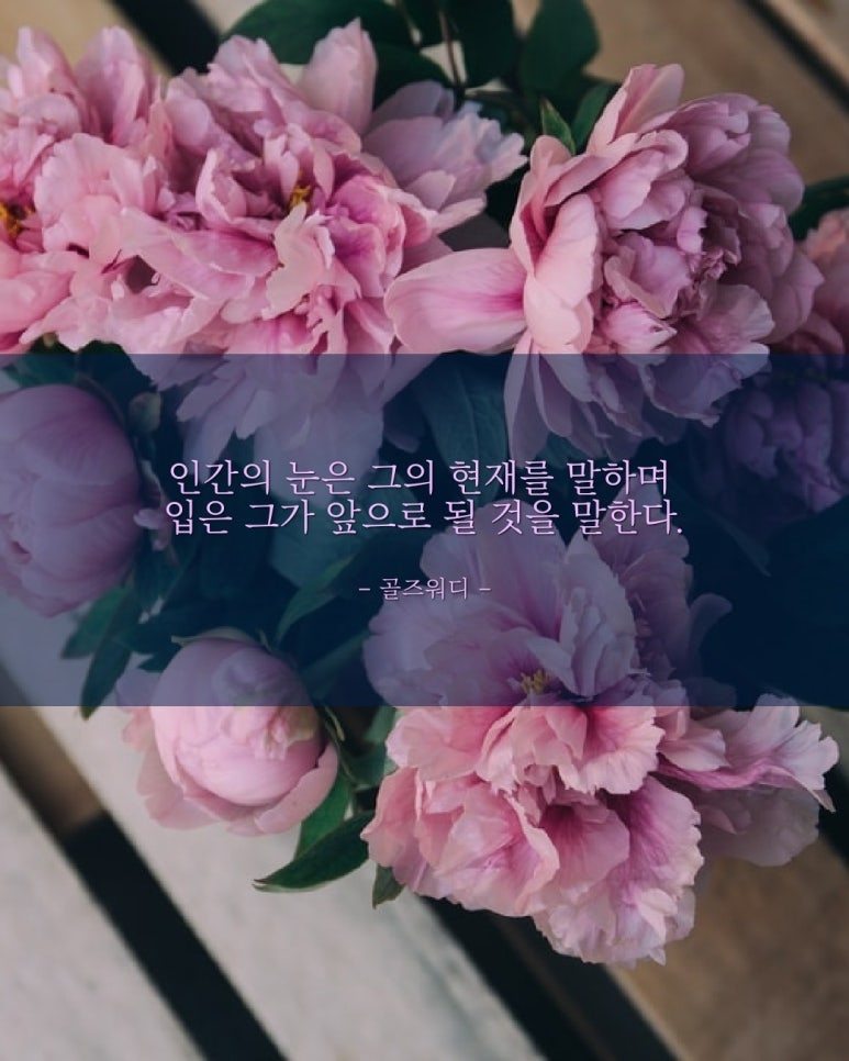카지노 가입 쿠폰