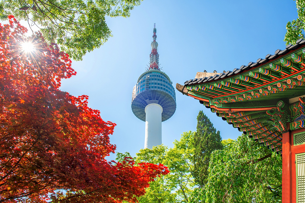 seoul-tower-with-gyeongbokgung-roof-red-autumn-maple-leaves-namsan-mountain-south-korea.jpg