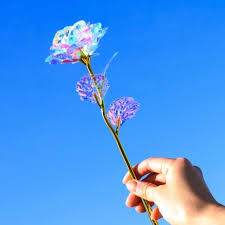 다운로드 (3).jpg