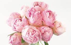 다운로드 (2).jpg