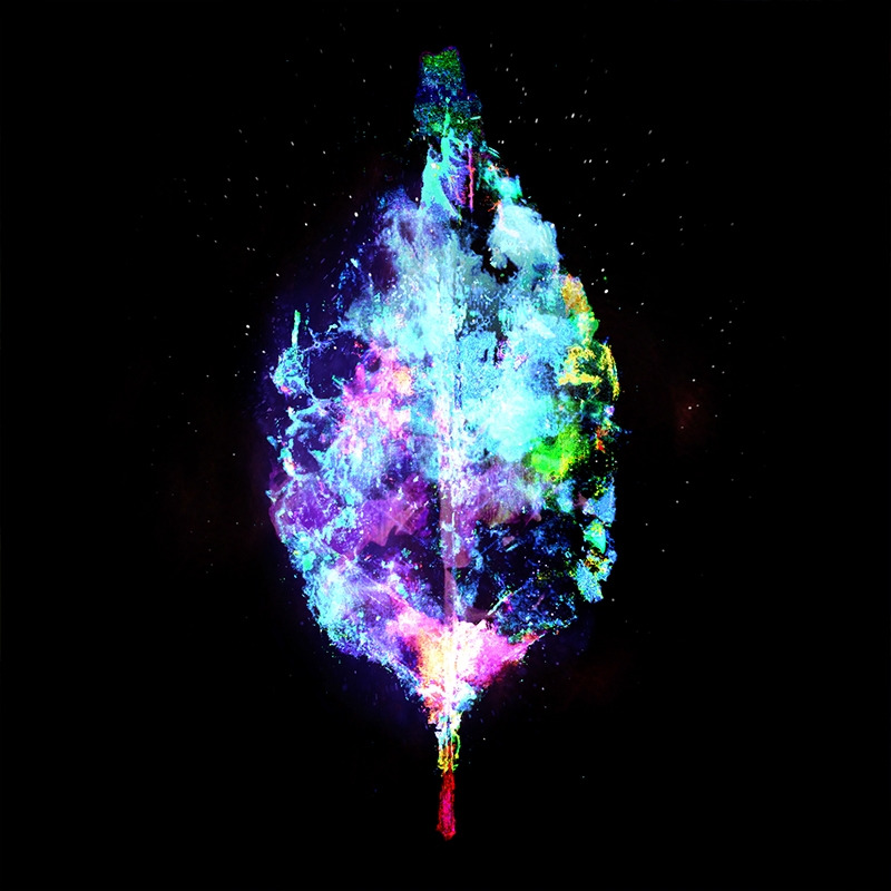 시원한 나뭇잎의 촉감_썸네일.jpg