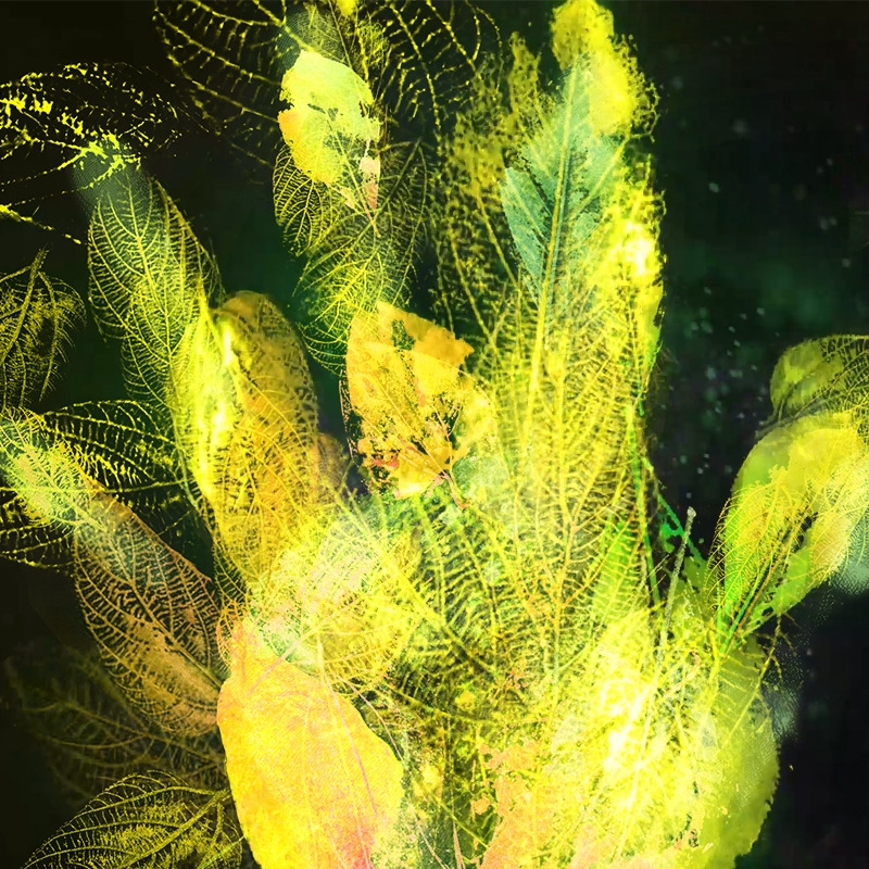 손바닥을 간지럽히던 나뭇잎들.jpg