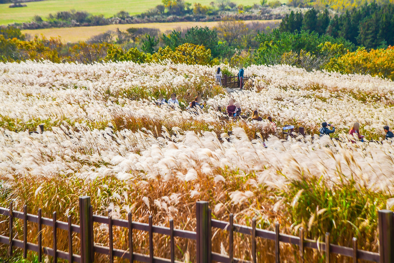 1119006201911011k_Sangumburi Crater.jpg