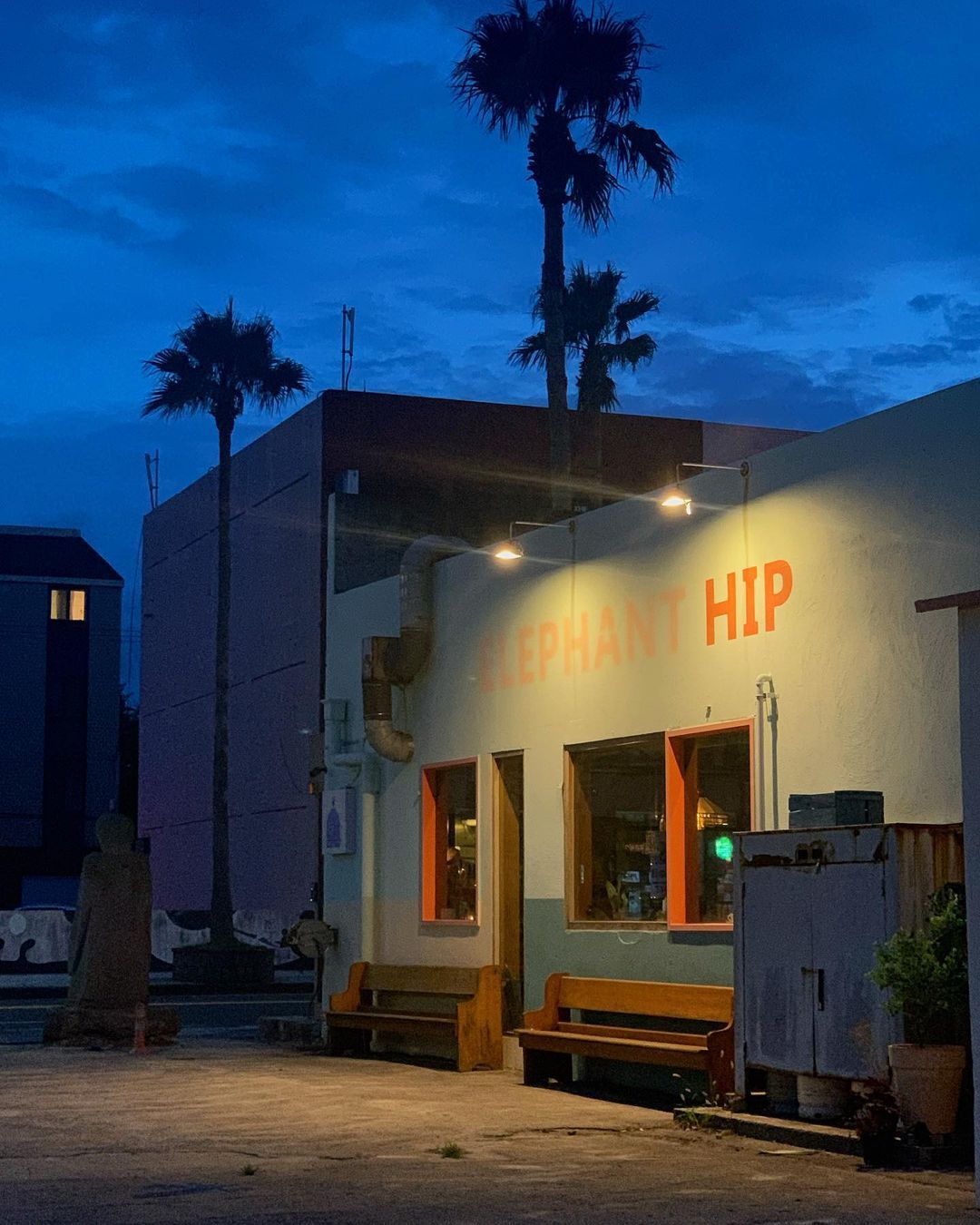 08 elephant.hip_117697169_3297735833603117_5062619062813033890_n.jpg