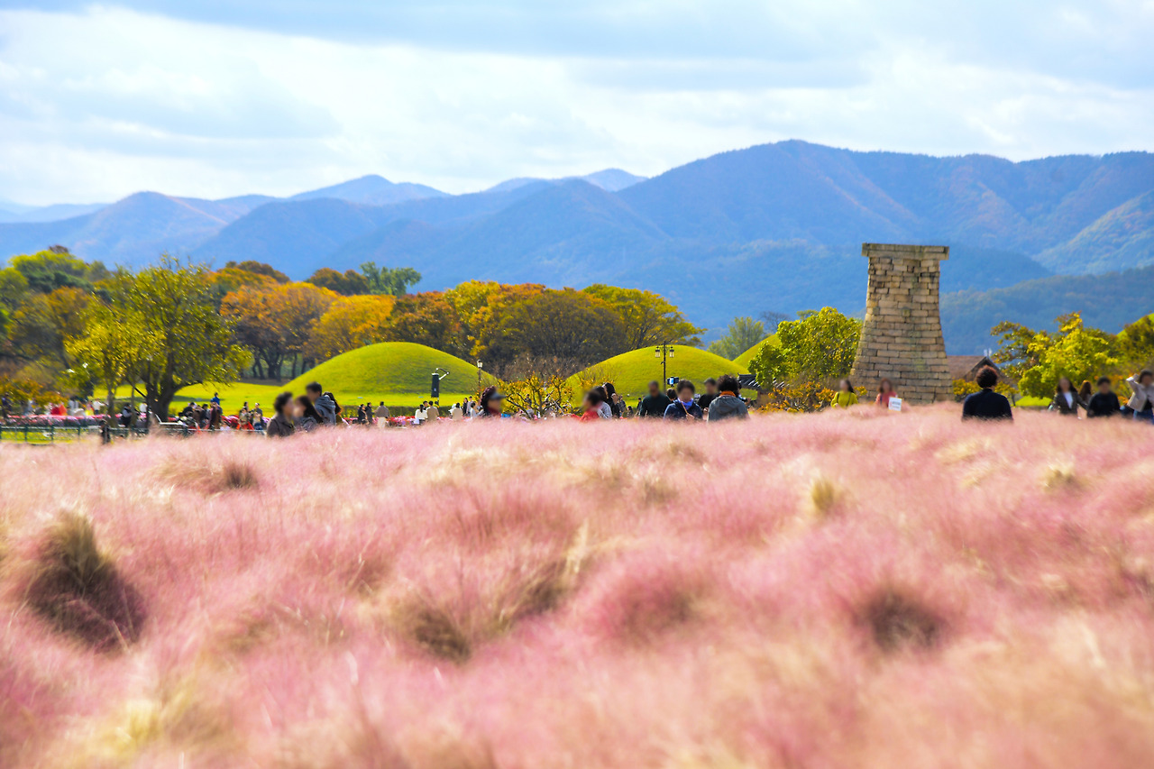 1917143201911001k_Gyeongju Historic Areas.jpg