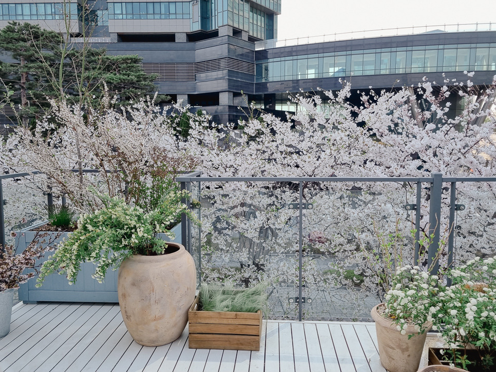 KakaoTalk_Photo_2023-03-30-12-40-12 003.jpg