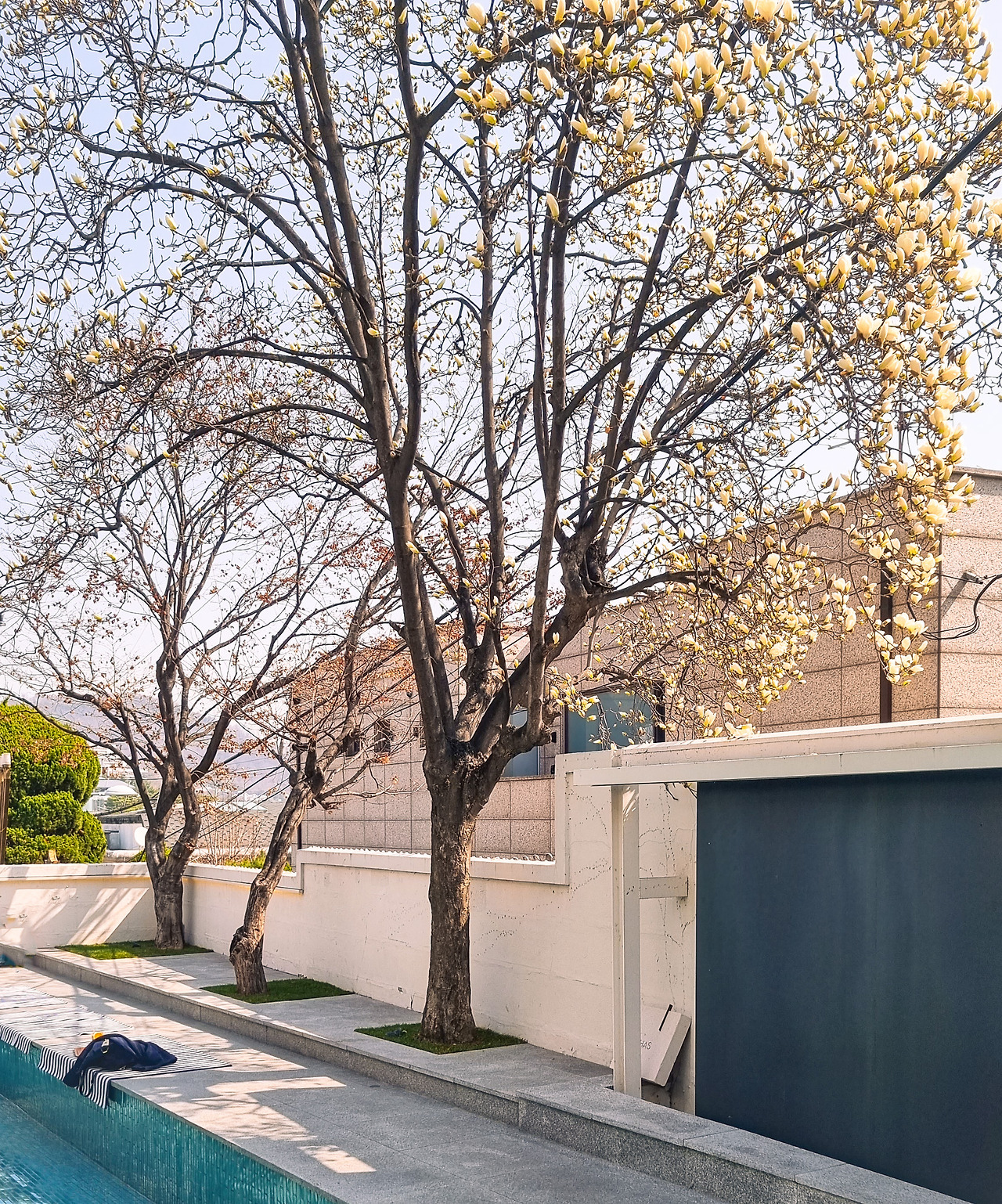 KakaoTalk_Photo_2023-03-22-12-10-21 004-2.jpg