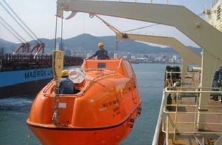 Life-Boat-Davit-Hinged-Gravity-Type.jpg