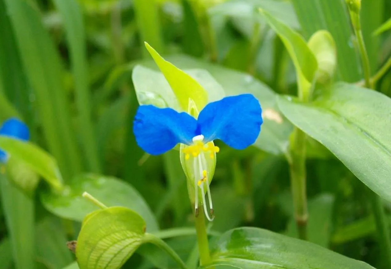 화면 캡처 2024-10-30 062505.jpg