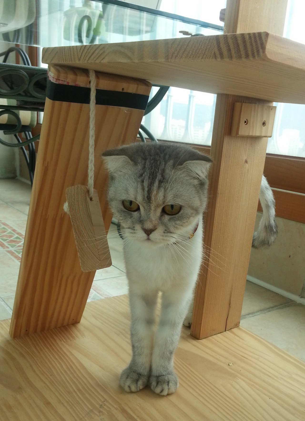 2014-08-25 11.59.31.jpg