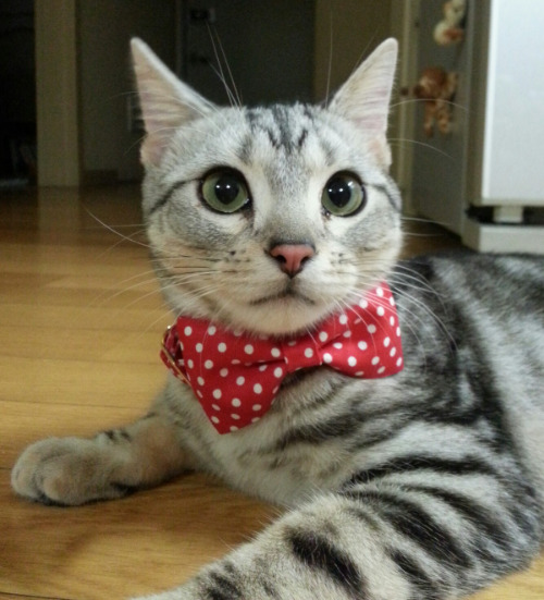 2013-10-19 07.51.03.jpg