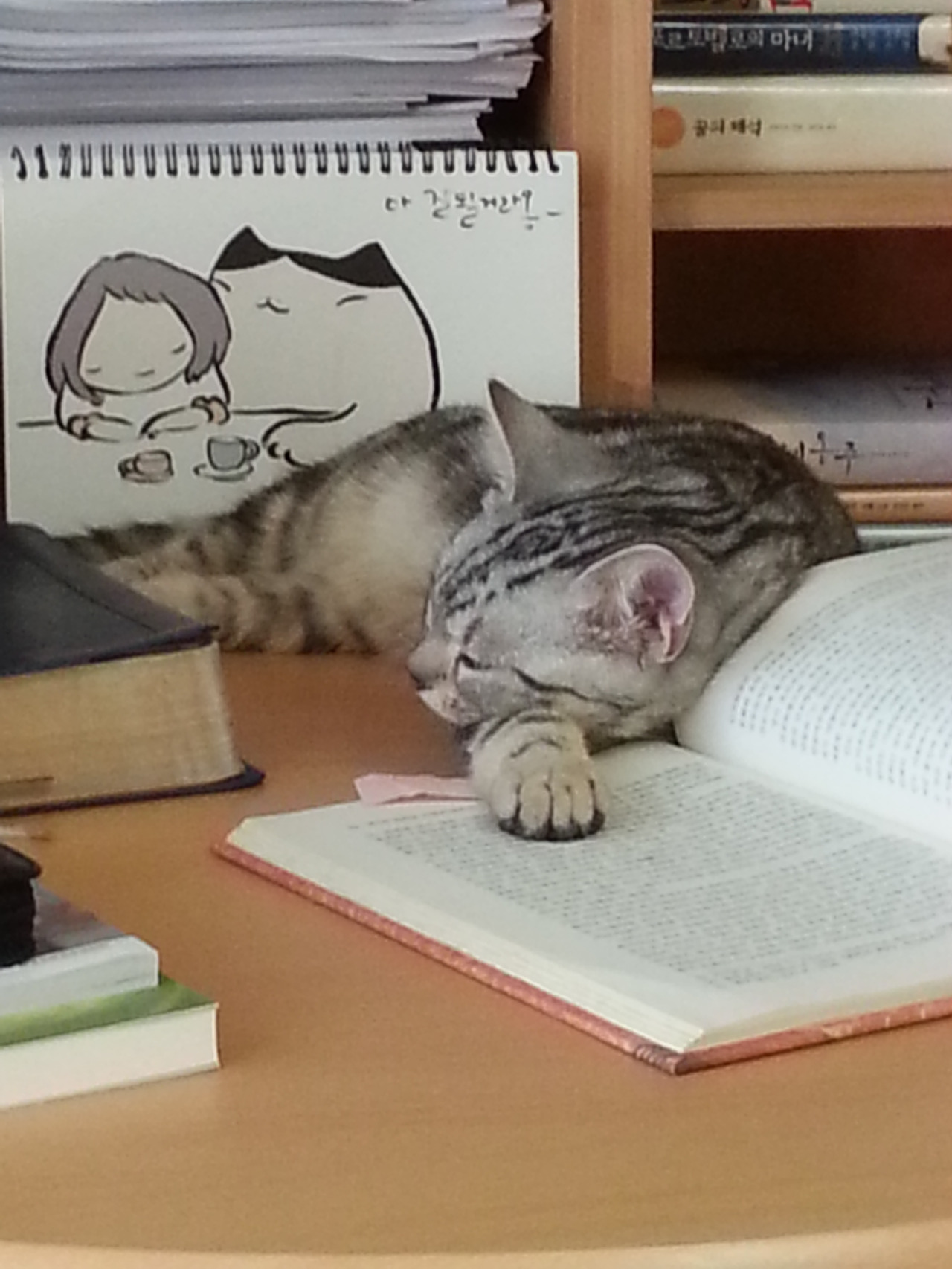 2013-10-04 13.22.58.jpg