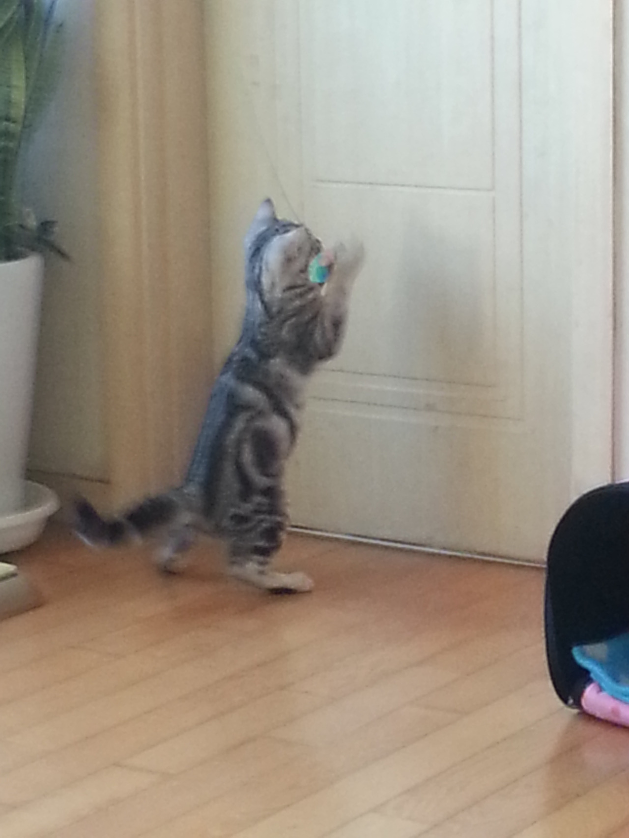 2013-09-15 17.56.21.jpg