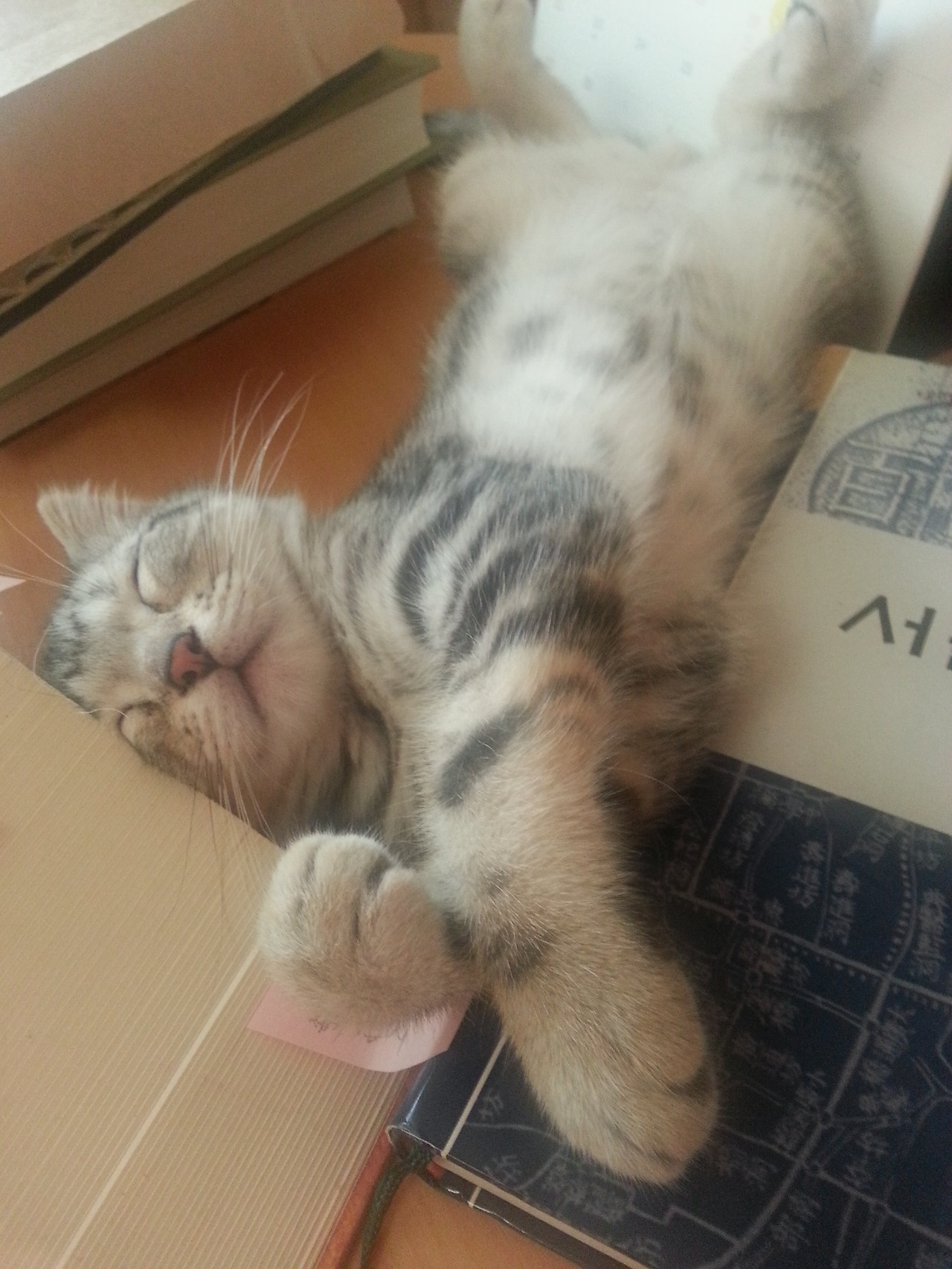 2013-07-29 14.52.15.jpg