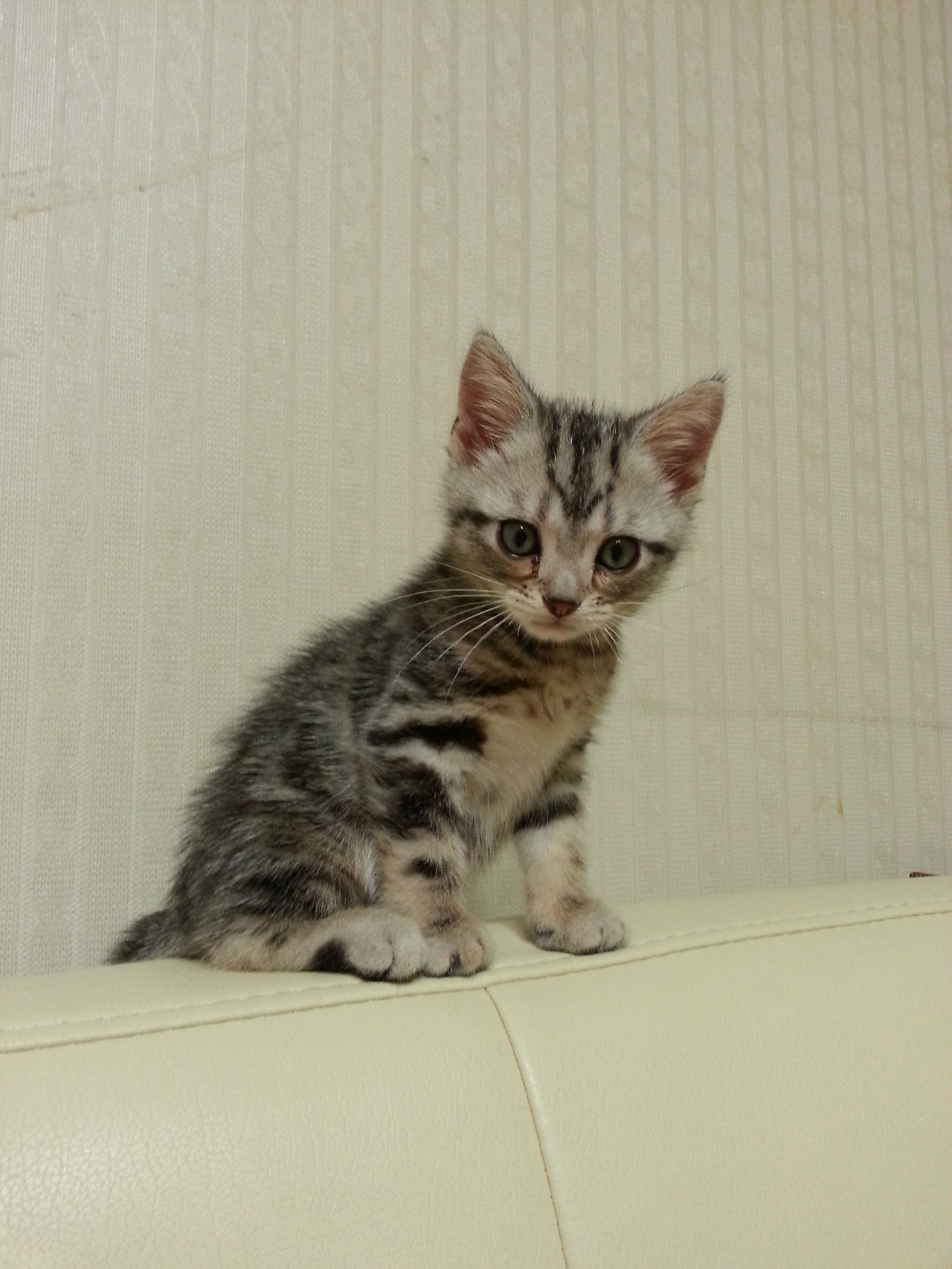 2013-07-01 22.03.53.jpg