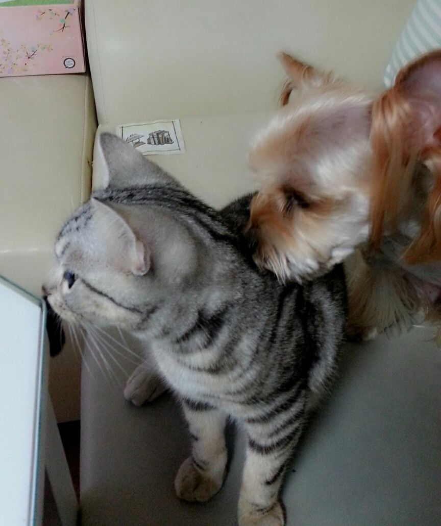 2013-10-24 21.34.14.jpg