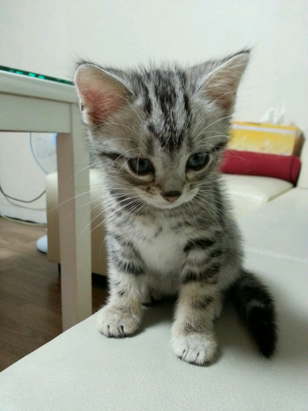 2013-07-02 22.09.43.jpg