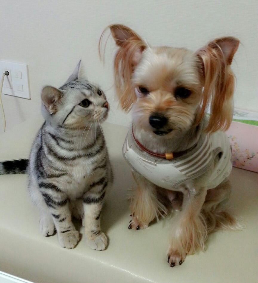 2013-10-24 21.34.09.jpg