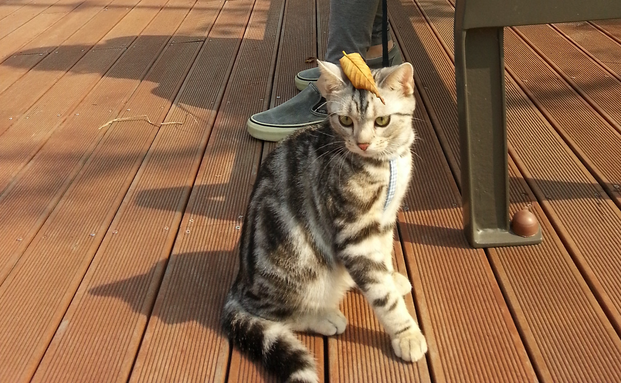 2013-10-13 11.40.48.jpg