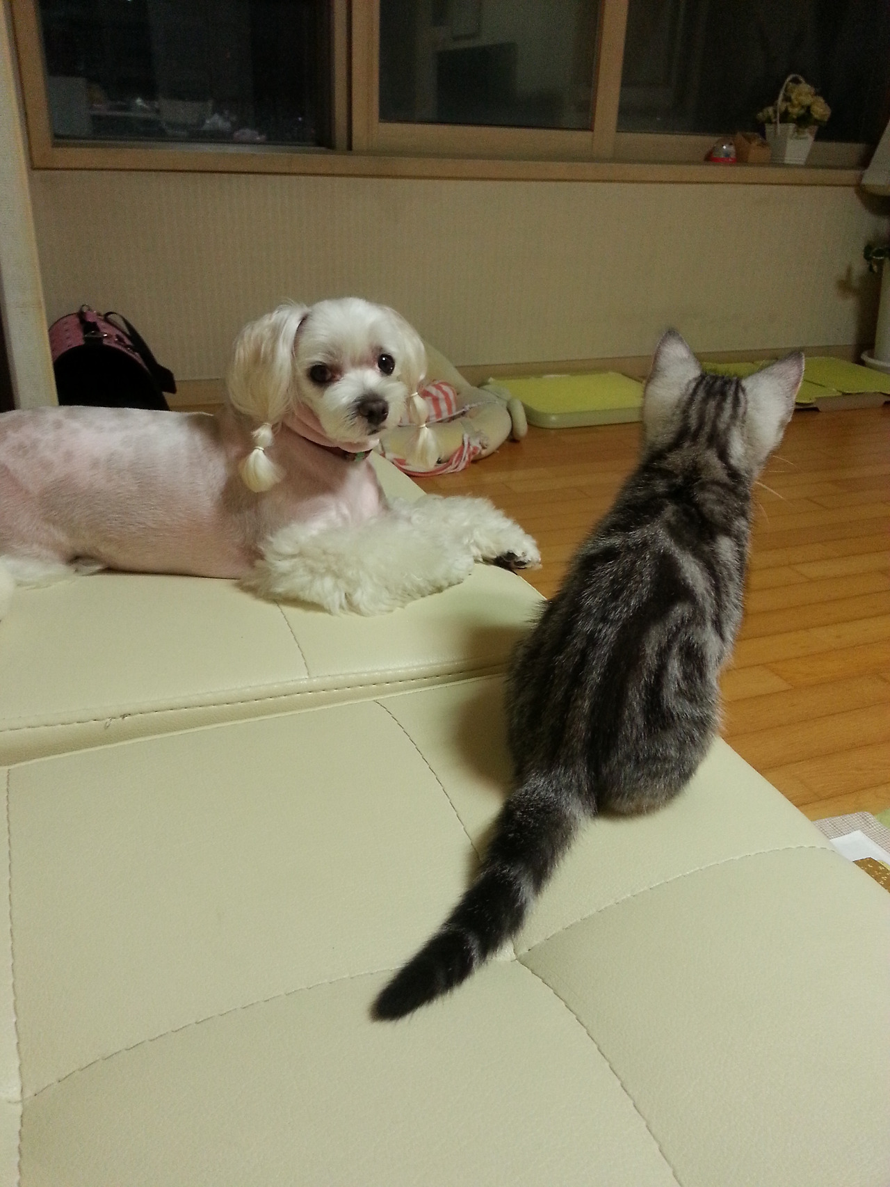 2013-07-13 23.10.57.jpg