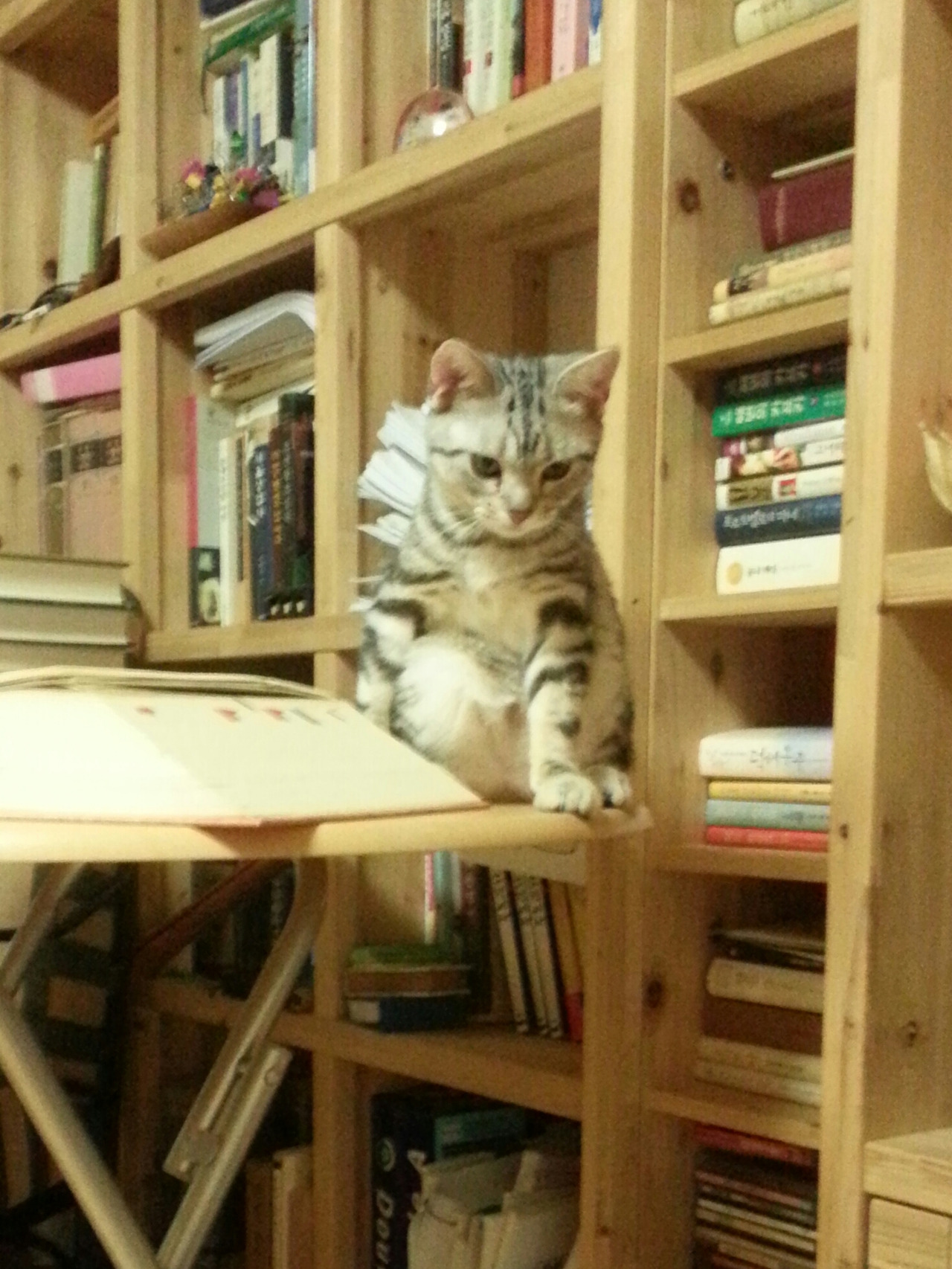 2013-10-04 18.39.10-1.jpg