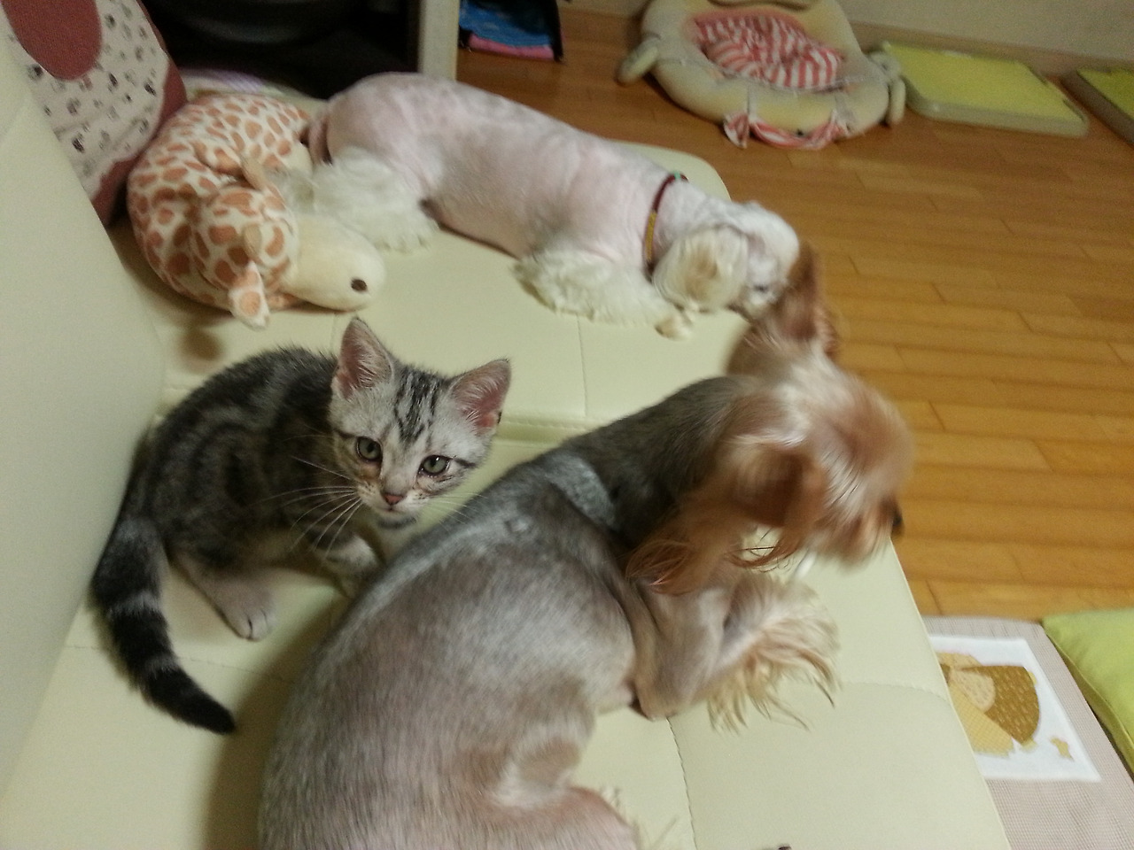 2013-07-13 23.12.40.jpg