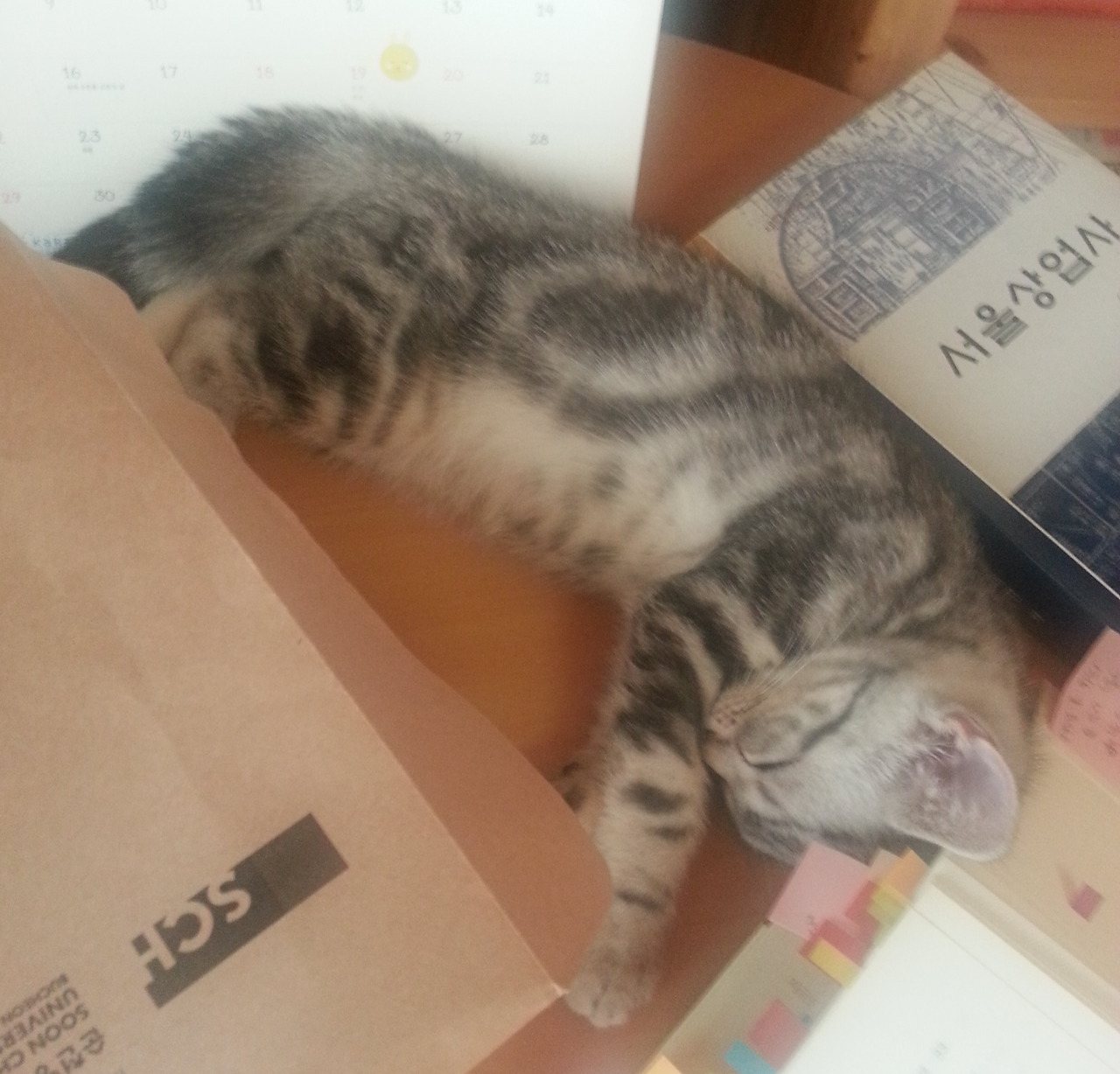 2013-07-29 14.48.25.jpg