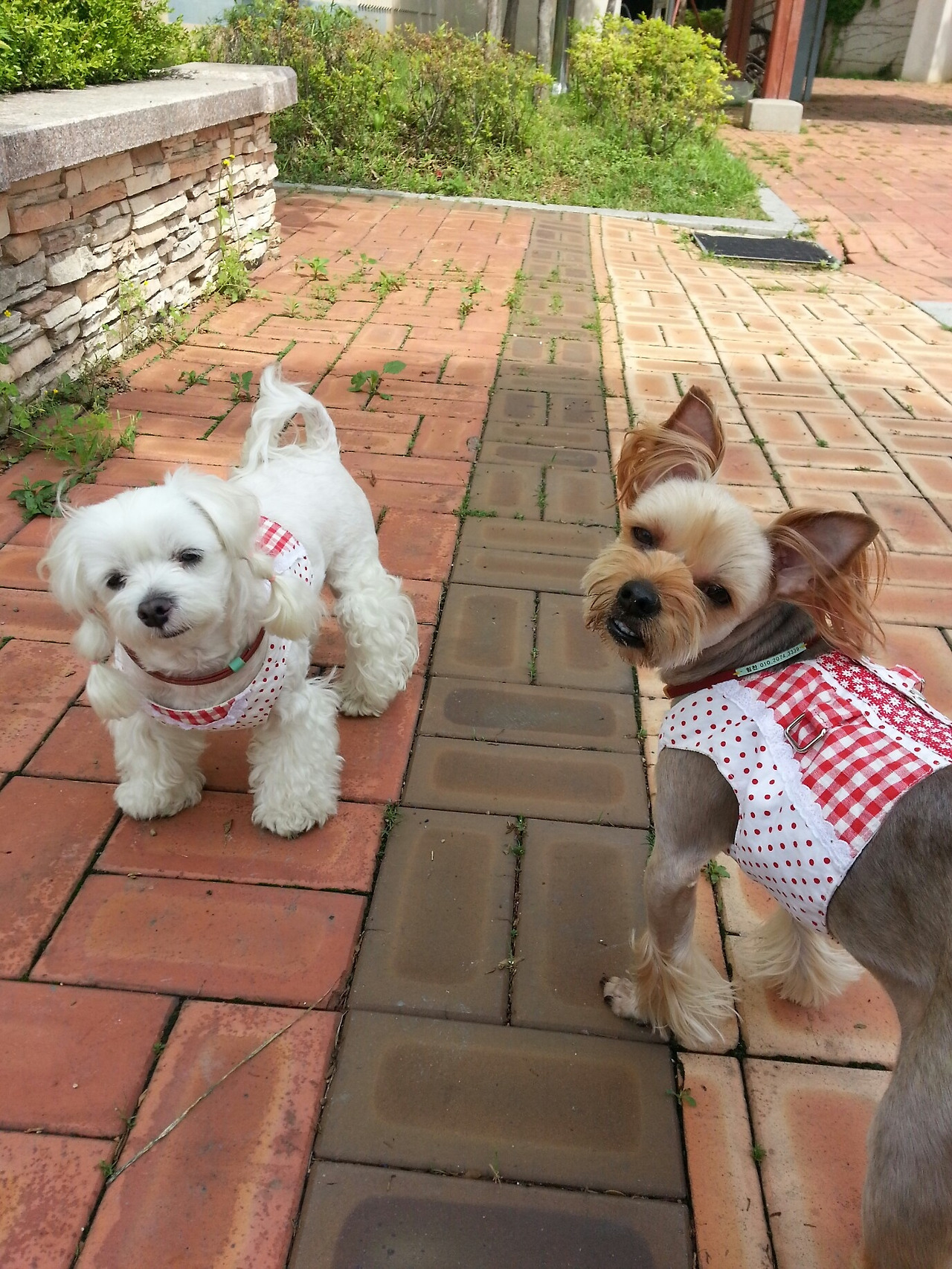 2013-05-30 11.37.00.jpg