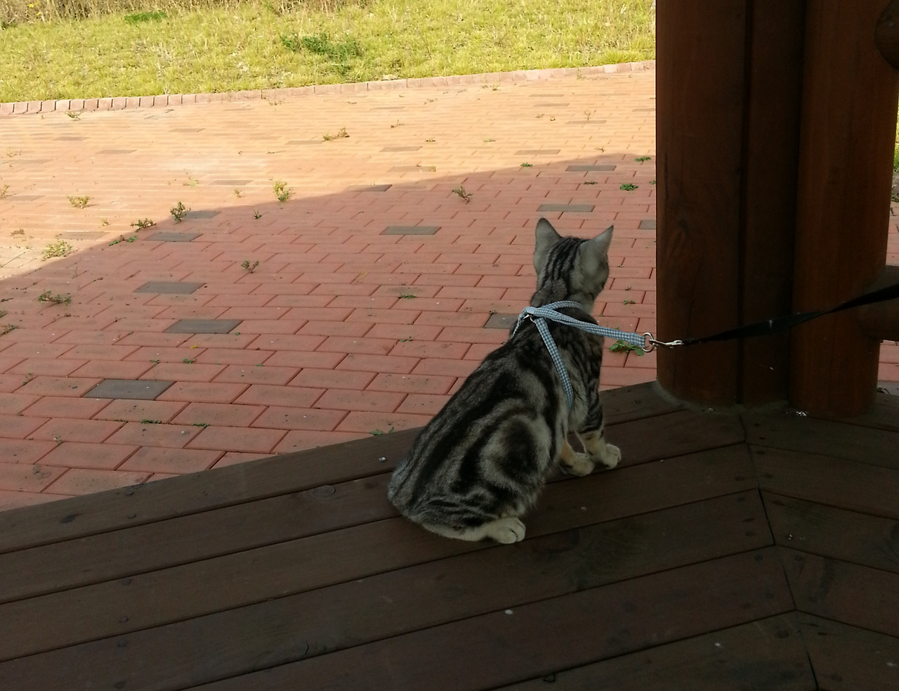 2013-10-13 11.30.04.jpg