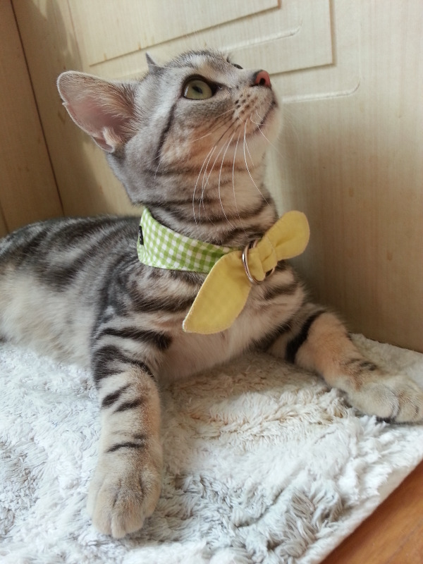 2013-10-19 09.00.27.jpg