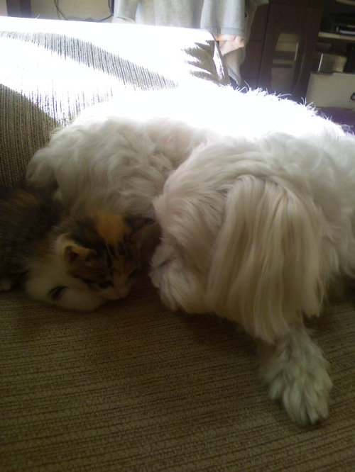 미르와 윙크3.jpg