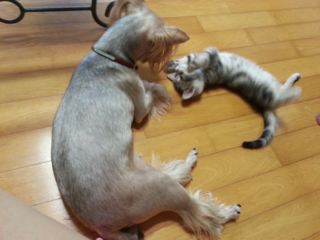 2013-07-13 18.48.00.jpg