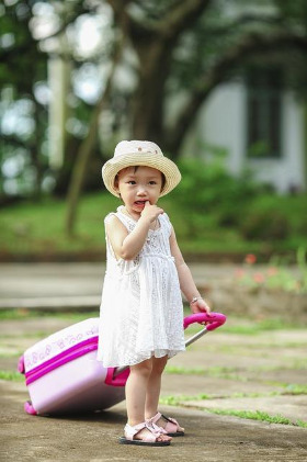 cute-girl holding suitcase      Anh Dang from Pixabay .jpg
