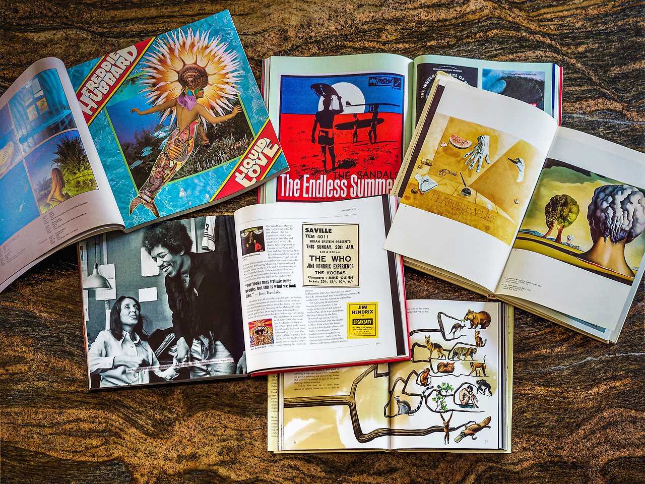 Photo by Enzo Tommasi on Unsplash.jpg