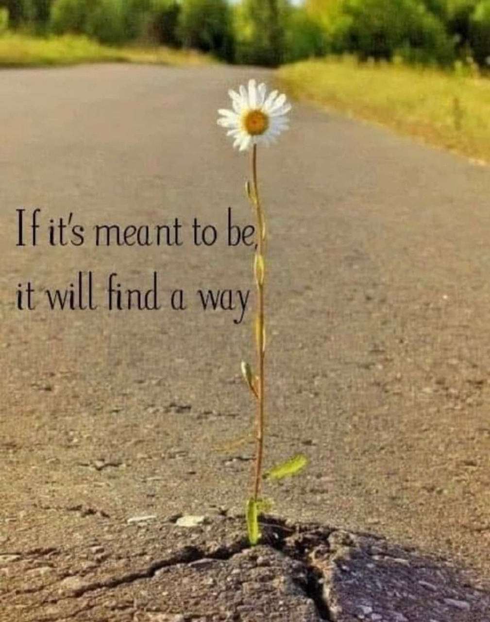 329   3월 21일 목.jpg