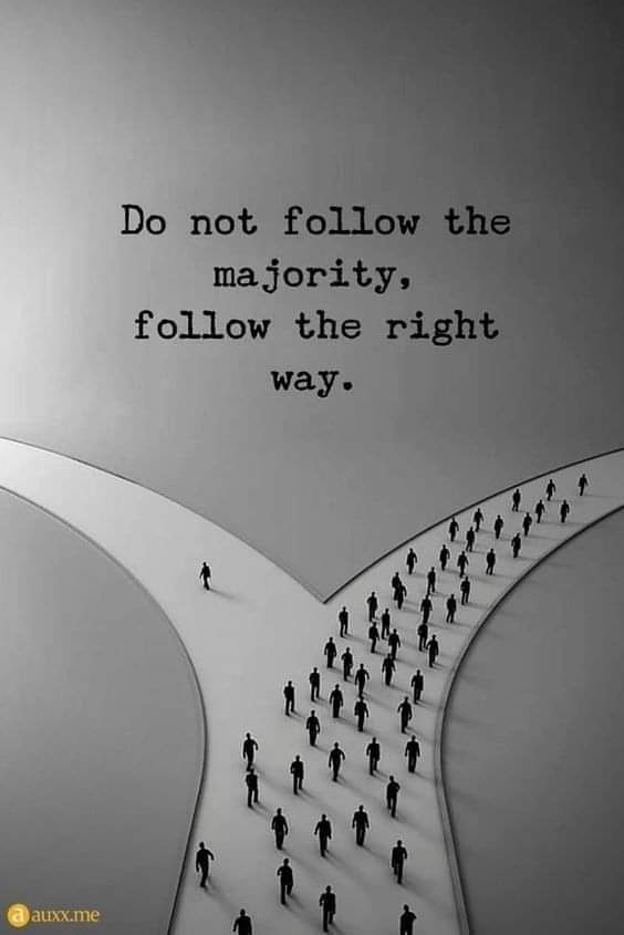 323   3월 15일 금.jpg