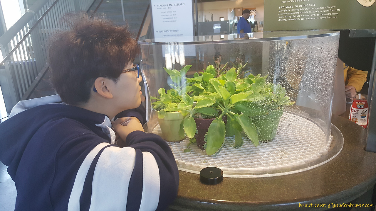 Exploratorium 4 - 복사본.jpg