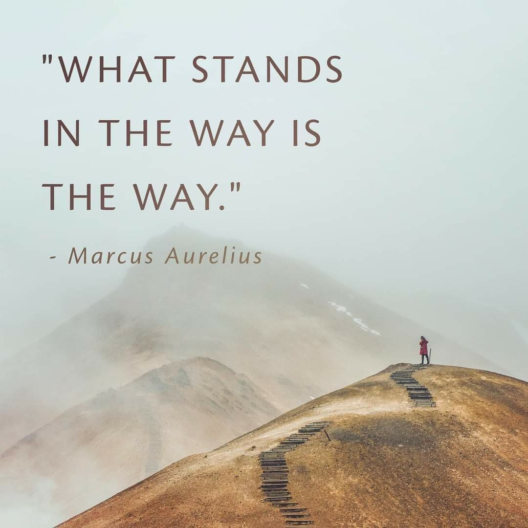 137   9월 6일 수.jpg