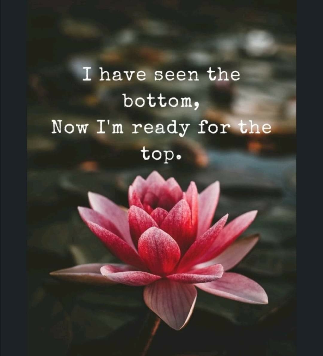 1   3월 6일 수.jpg