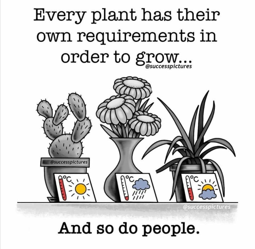 404   6월 4일 화.jpg