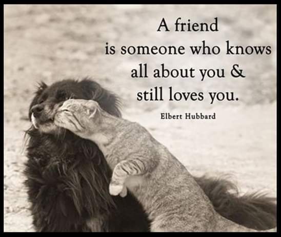 174   10월 13일 금.jpg