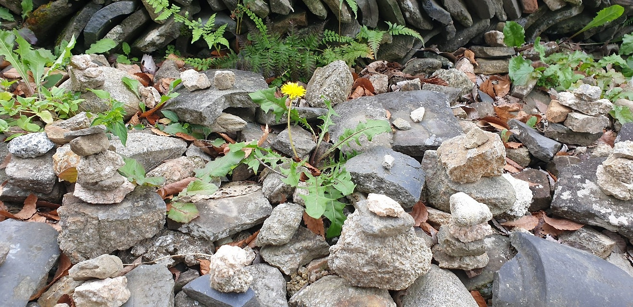 실상사 돌탑 위에 핀 꽃.jpg