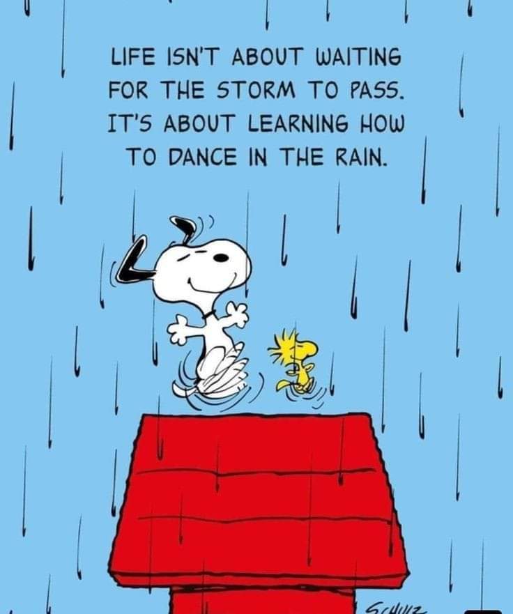 414   6월 14일 금.jpg