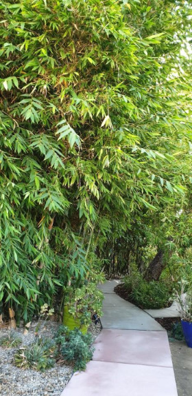 KakaoTalk_20190915_180709604 - 복사본.jpg