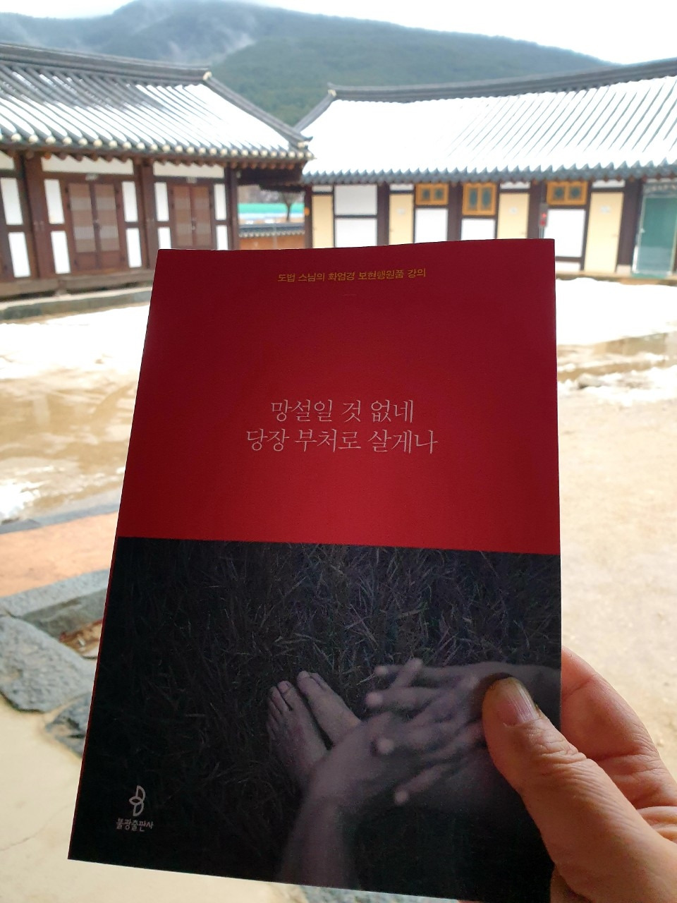망설일 것 없네 당장 부처로 살게나 02122025.jpg