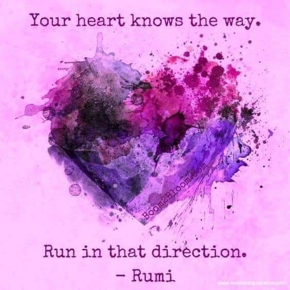 14   3월 19일 월.jpg