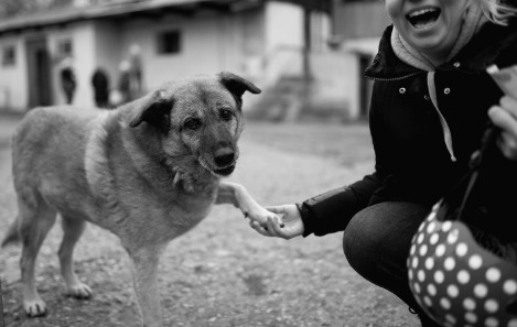 Photo by Arseny Togulev on Unsplash.jpg