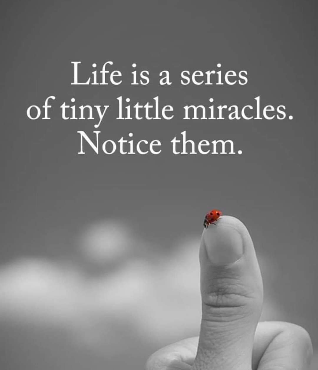 370  5월 1일 수.jpg